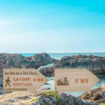 Ba-batz Cool - Les De La Cote D'amour *